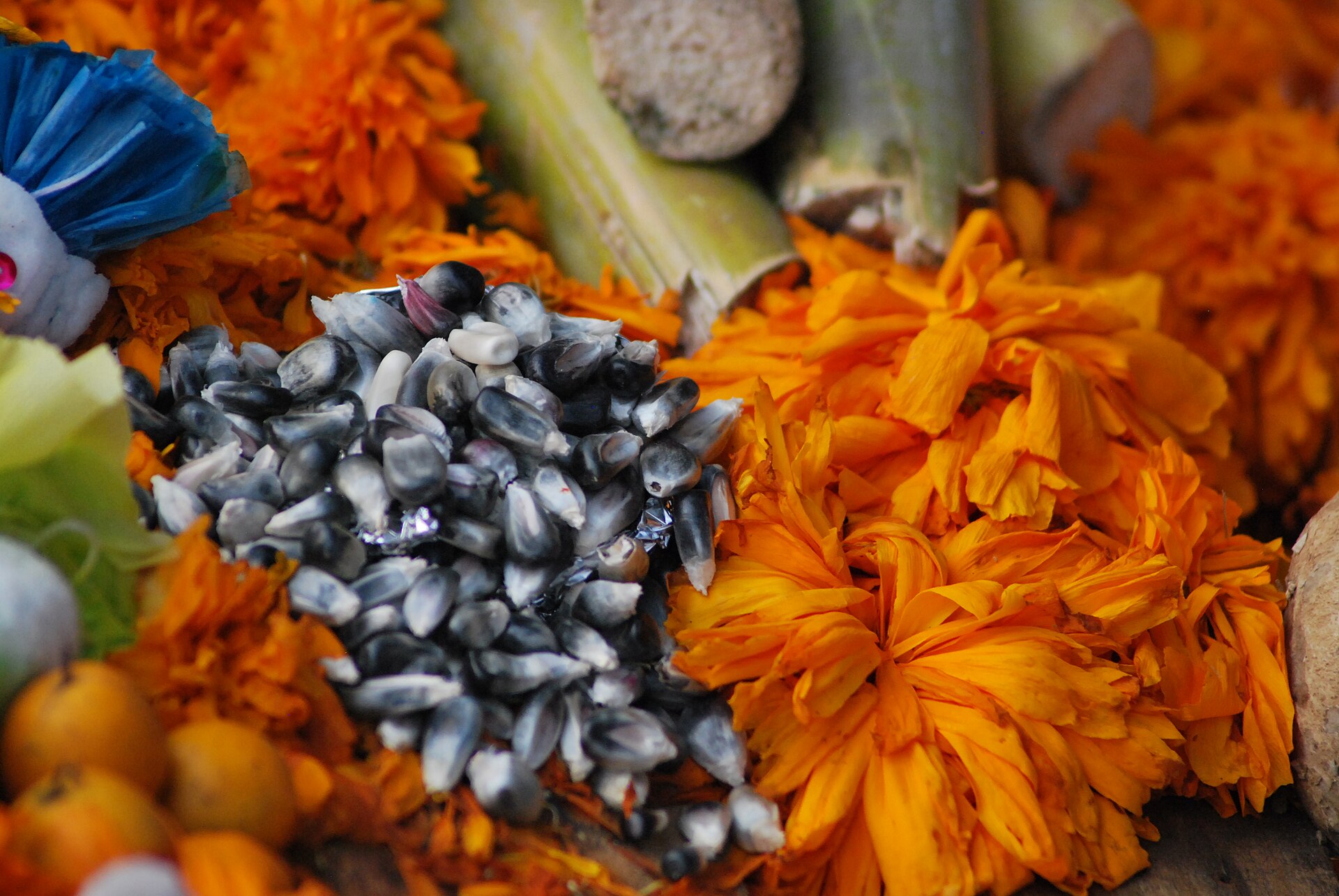 Las ofrendas, con cempasúchil, velas y pan de muerto, son el corazón de la celebración.